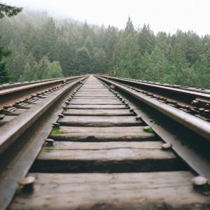 Railroad tracks through an evergreen forest