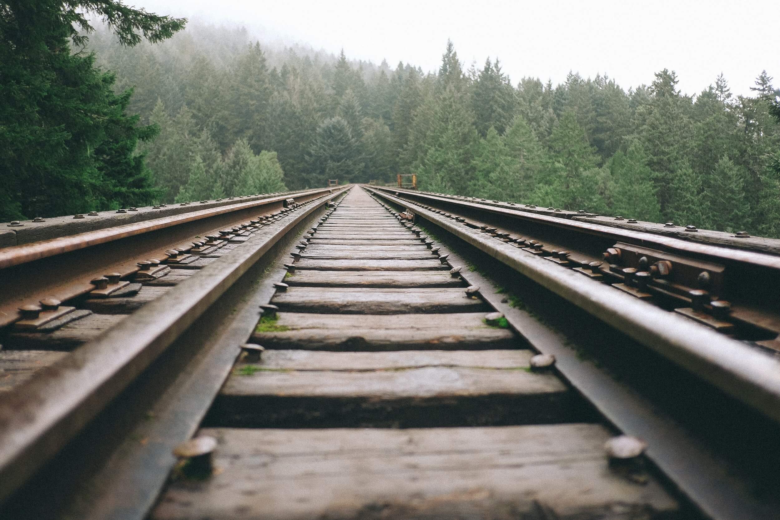 Railroad tracks through an evergreen forest